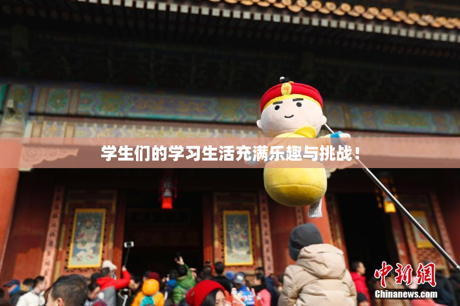 学生们的学习生活充满乐趣与挑战！
