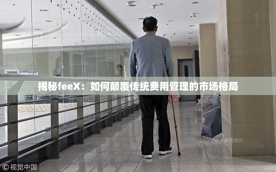 揭秘feeX：如何颠覆传统费用管理的市场格局