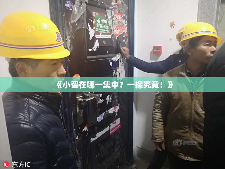 《小智在哪一集中？一探究竟！》