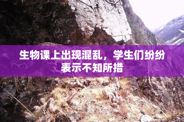 生物课上出现混乱，学生们纷纷表示不知所措