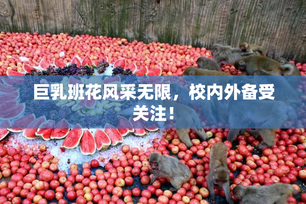 巨乳班花风采无限，校内外备受关注！