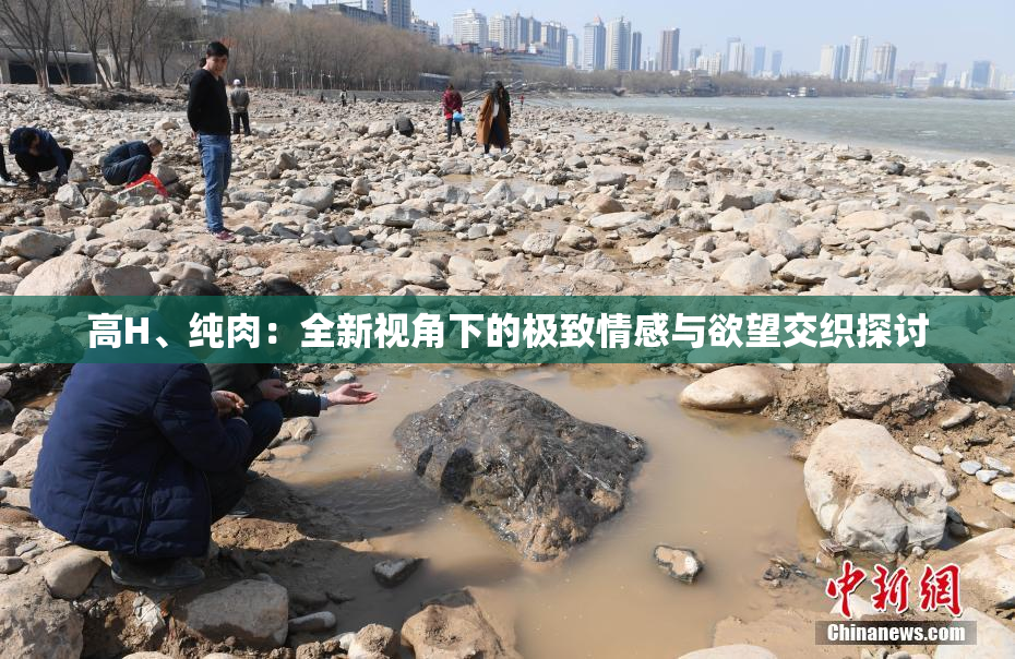 高H、纯肉：全新视角下的极致情感与欲望交织探讨