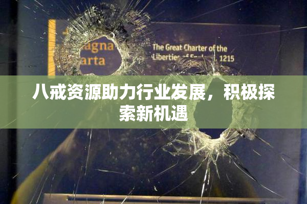八戒资源助力行业发展，积极探索新机遇