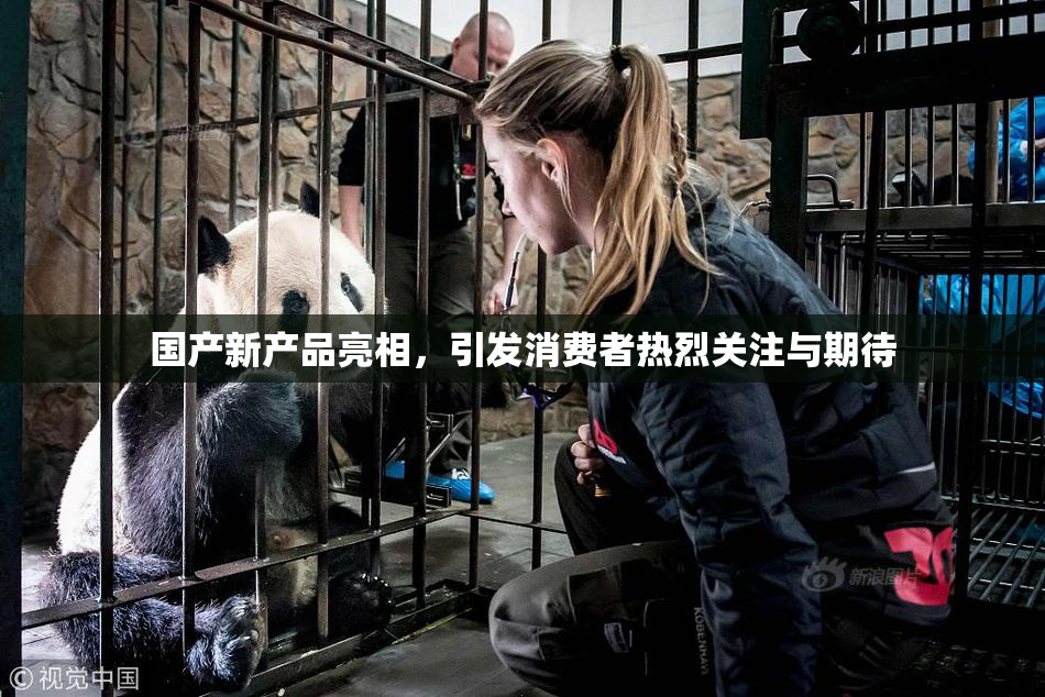 国产新产品亮相，引发消费者热烈关注与期待