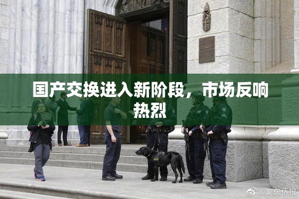 国产交换进入新阶段，市场反响热烈