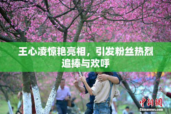 王心凌惊艳亮相，引发粉丝热烈追捧与欢呼