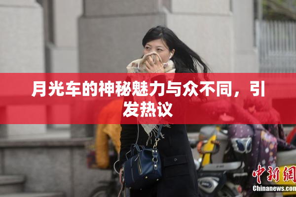 月光车的神秘魅力与众不同，引发热议