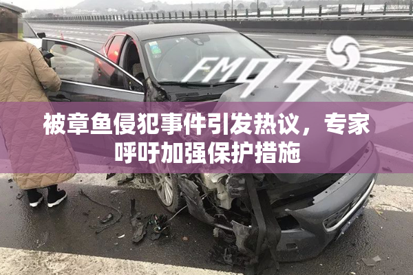 被章鱼侵犯事件引发热议，专家呼吁加强保护措施