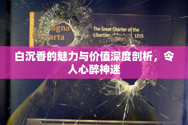 白沉香的魅力与价值深度剖析，令人心醉神迷