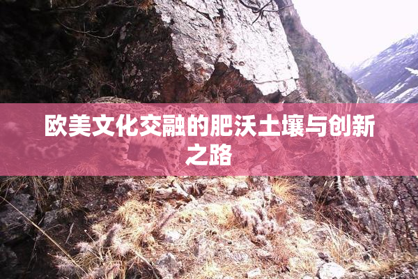 欧美文化交融的肥沃土壤与创新之路