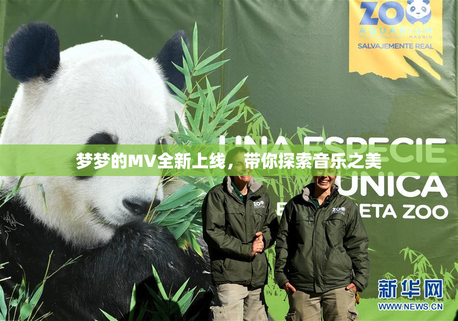 梦梦的MV全新上线，带你探索音乐之美