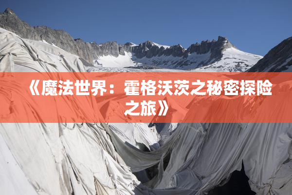 《魔法世界：霍格沃茨之秘密探险之旅》