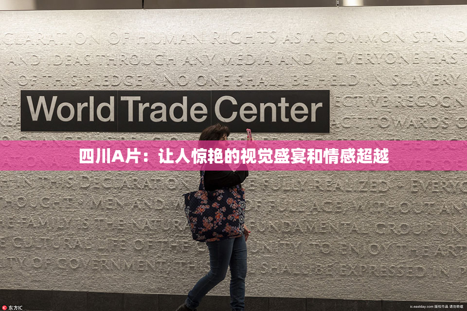 四川A片：让人惊艳的视觉盛宴和情感超越