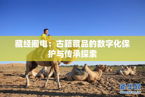 藏经阁电：古籍藏品的数字化保护与传承探索