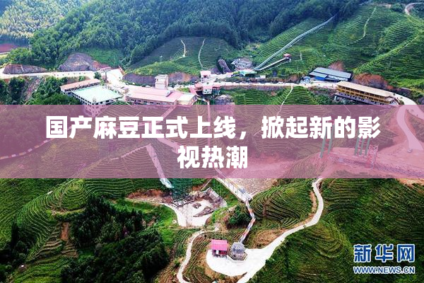 国产麻豆正式上线，掀起新的影视热潮