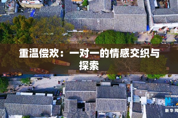 重温偿欢：一对一的情感交织与探索
