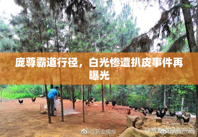 庞尊霸道行径，白光惨遭扒皮事件再曝光