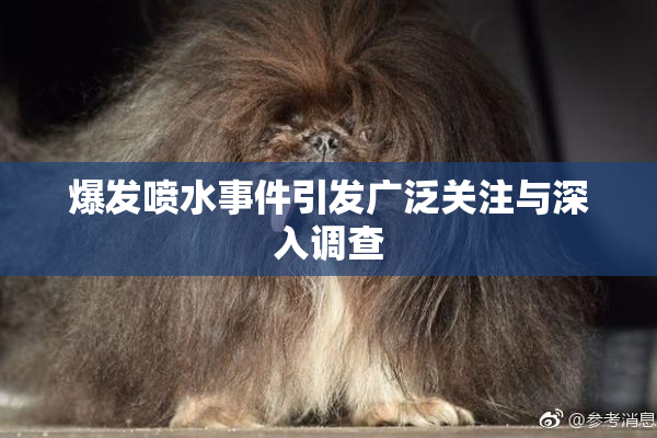 爆发喷水事件引发广泛关注与深入调查