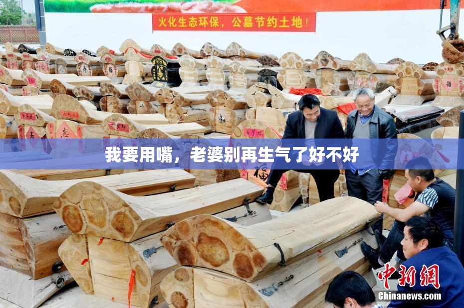 我要用嘴，老婆别再生气了好不好