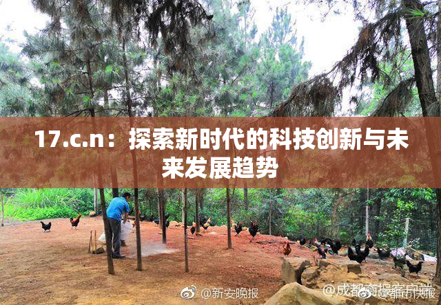 17.c.n：探索新时代的科技创新与未来发展趋势