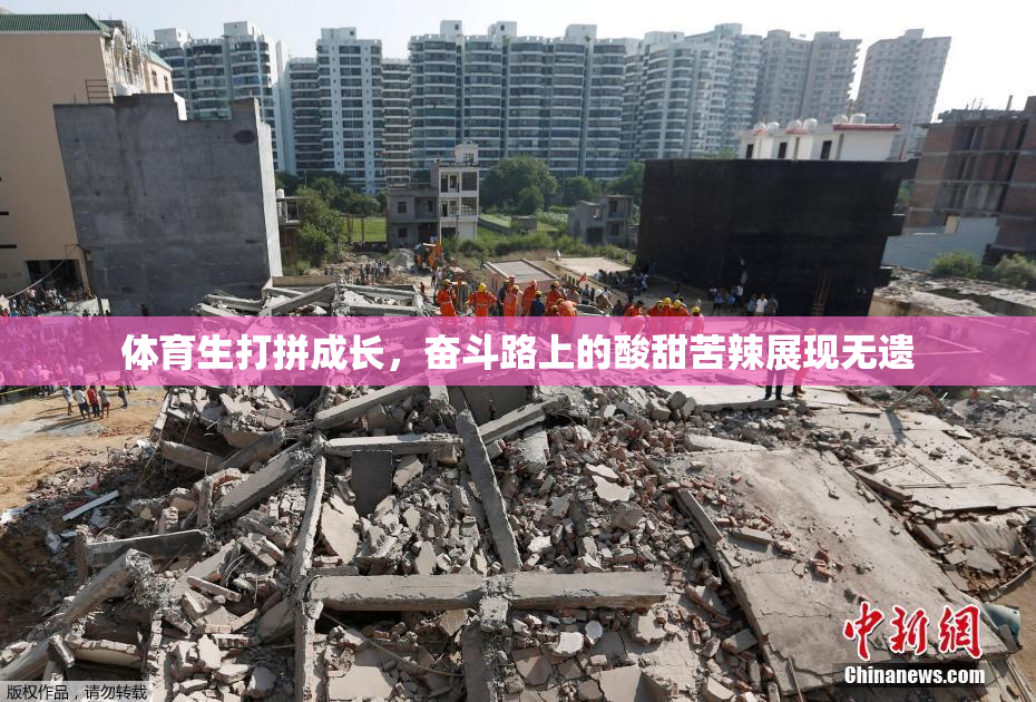 体育生打拼成长，奋斗路上的酸甜苦辣展现无遗