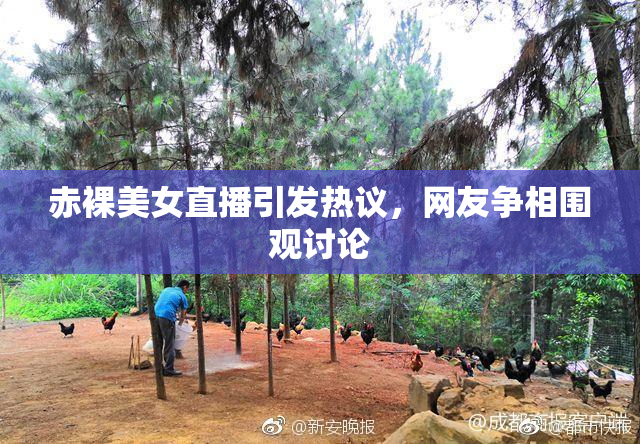 赤裸美女直播引发热议，网友争相围观讨论