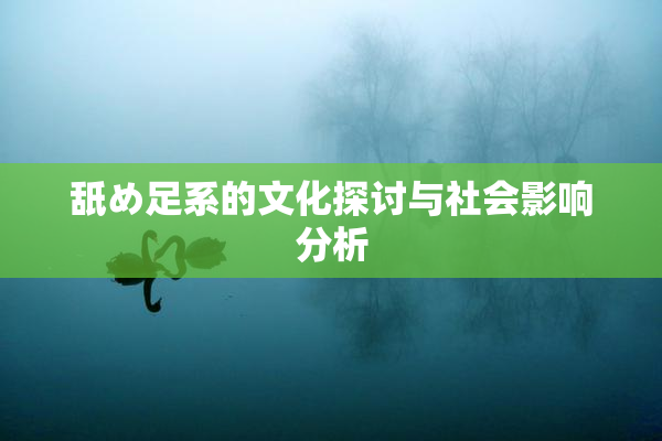 舐め足系的文化探讨与社会影响分析