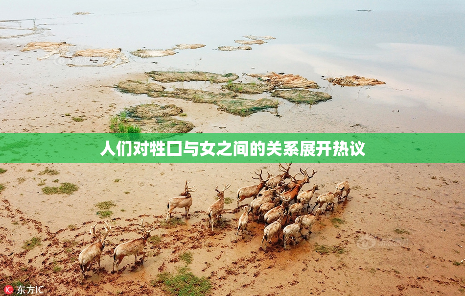 人们对牲囗与女之间的关系展开热议