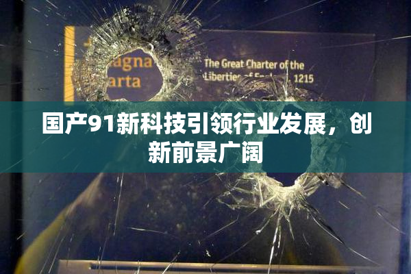 国产91新科技引领行业发展，创新前景广阔