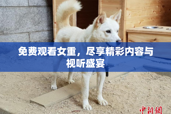免费观看女重，尽享精彩内容与视听盛宴