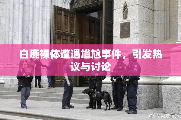 白鹿裸体遭遇尴尬事件，引发热议与讨论