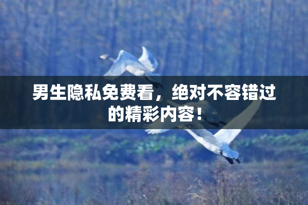 男生隐私免费看，绝对不容错过的精彩内容！