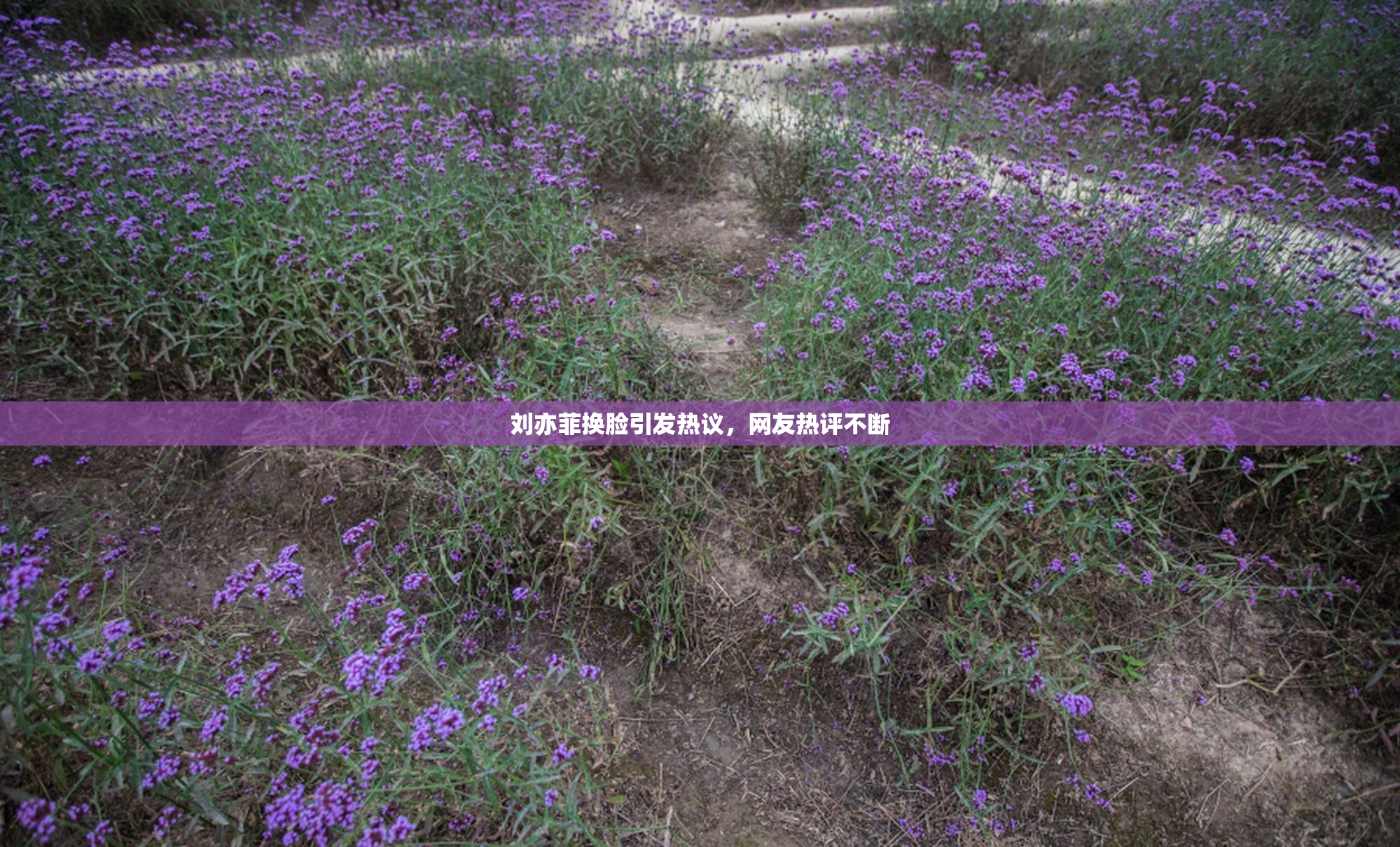 刘亦菲换脸引发热议，网友热评不断