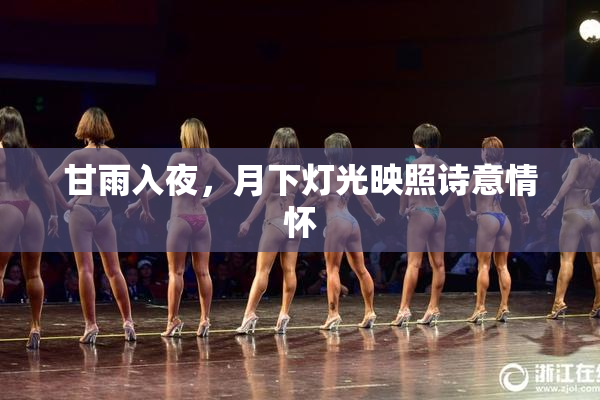 甘雨入夜，月下灯光映照诗意情怀