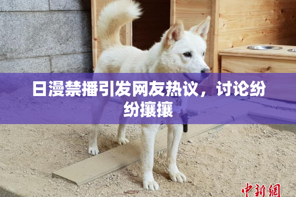 日漫禁播引发网友热议，讨论纷纷攘攘
