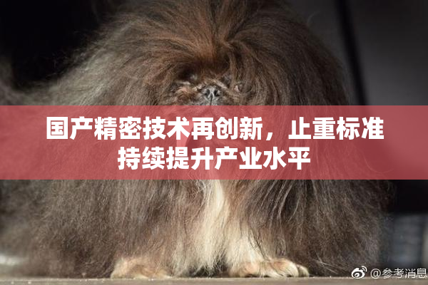 国产精密技术再创新，止重标准持续提升产业水平