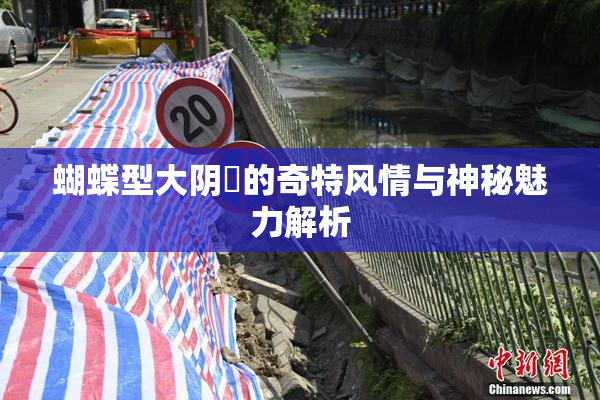 蝴蝶型大阴脣的奇特风情与神秘魅力解析