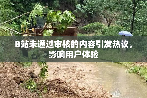 B站未通过审核的内容引发热议，影响用户体验