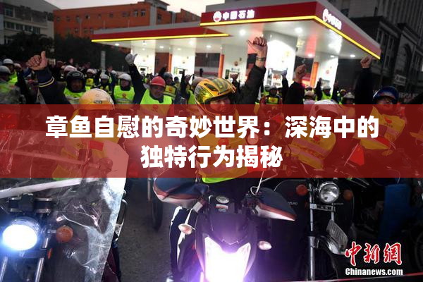 章鱼自慰的奇妙世界：深海中的独特行为揭秘