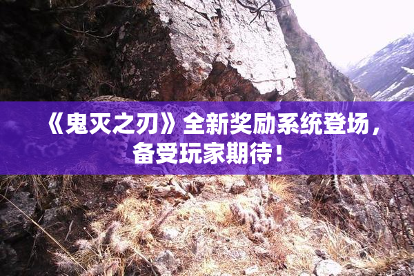 《鬼灭之刃》全新奖励系统登场，备受玩家期待！