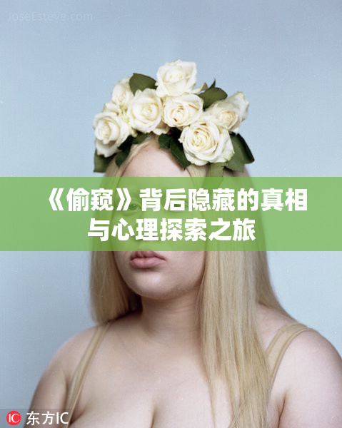 《偷窥》背后隐藏的真相与心理探索之旅