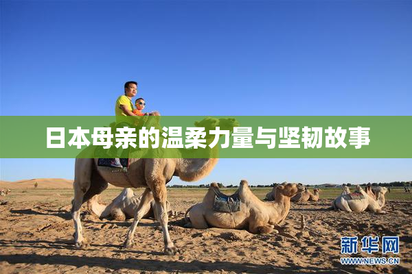 日本母亲的温柔力量与坚韧故事