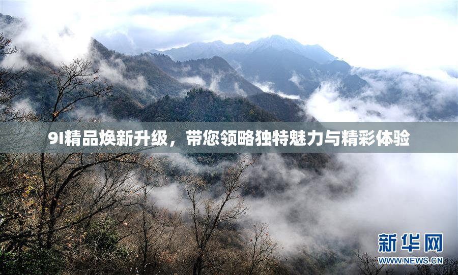 9I精品焕新升级，带您领略独特魅力与精彩体验