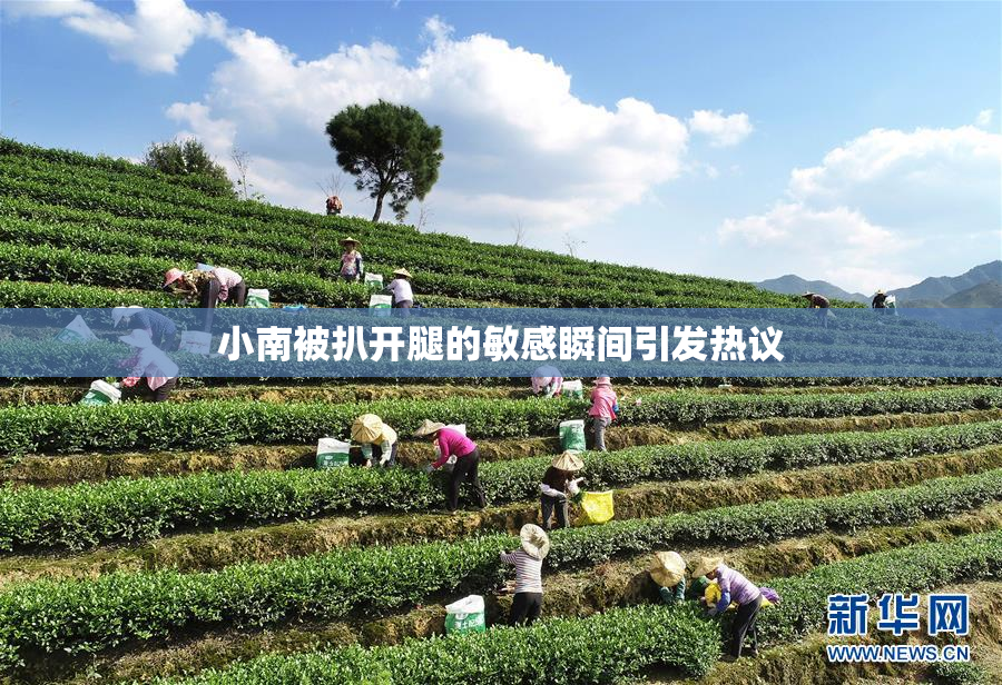 小南被扒开腿的敏感瞬间引发热议
