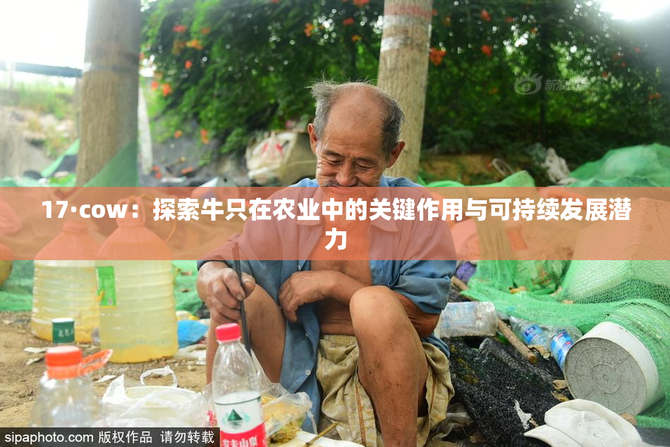 17·cow：探索牛只在农业中的关键作用与可持续发展潜力