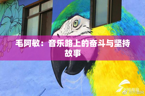 毛阿敏：音乐路上的奋斗与坚持故事