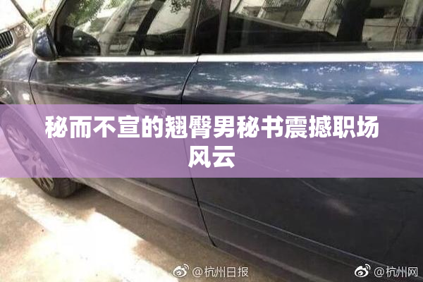 秘而不宣的翘臀男秘书震撼职场风云