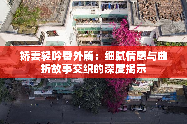 娇妻轻吟番外篇：细腻情感与曲折故事交织的深度揭示