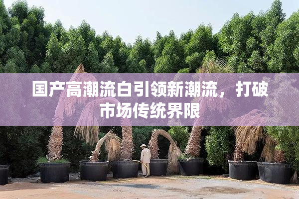 国产高潮流白引领新潮流，打破市场传统界限