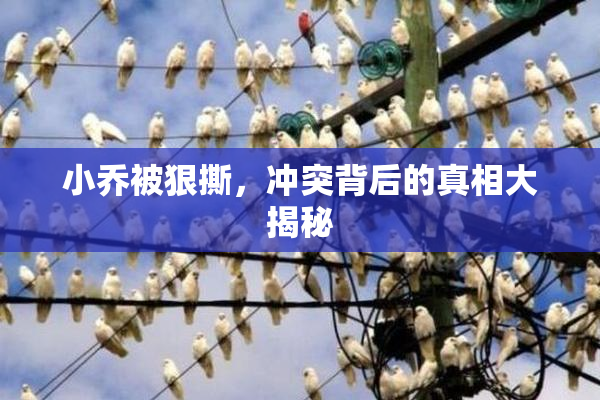 小乔被狠撕，冲突背后的真相大揭秘